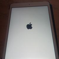 I PAD retina 3