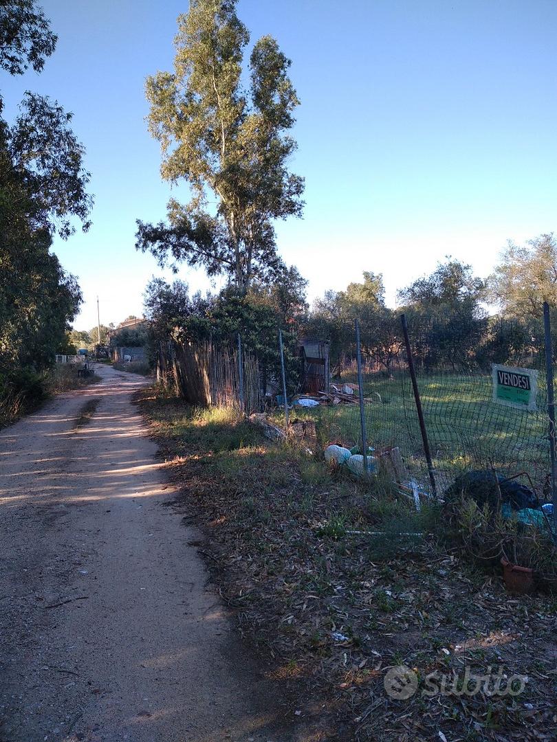 Terreno 1.500 metri quadri - Vista 5
