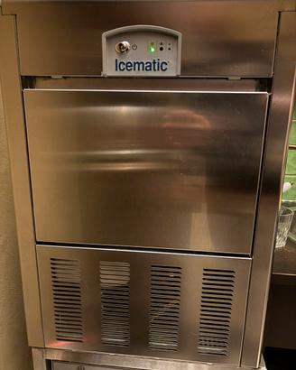 Icematic E45 w