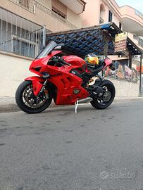 Panigale v4 2024