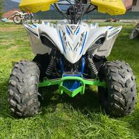 Quad Lem 110cc