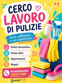 Pulizie ecc