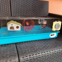 Gabbietta per criceti 