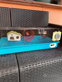 Gabbietta per criceti 