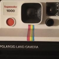 Macchina Fotografica Vintage Polaroid