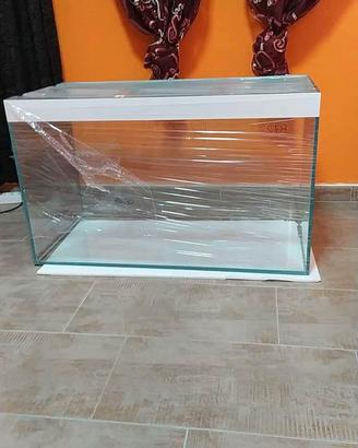 Acquario marino 