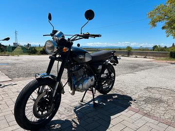 Mash two-fifty 250 - 2016