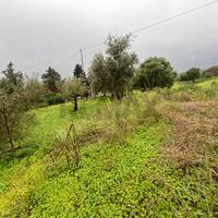 Terreno - Carlentini
