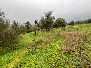 Terreno - Carlentini