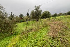 Terreno - Carlentini