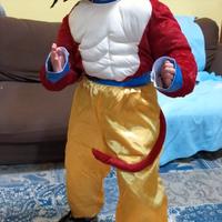 costume di dragon ball