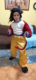 costume di dragon ball