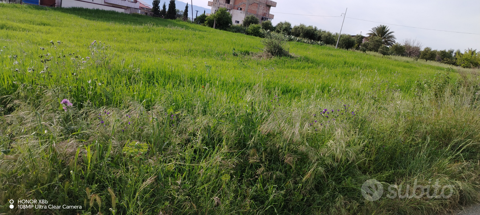 Terreno edificabile - Vista 2