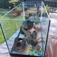Acquario
