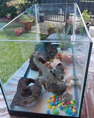Acquario