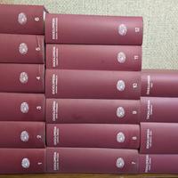 Enciclopedia Einaudi 16 Volumi