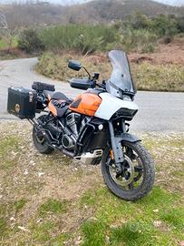 Harley Davidson Panamerica 1250 Special