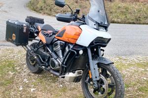 Harley Davidson Panamerica 1250 Special