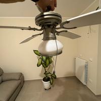 Lampada ventilatore da soffitto