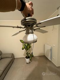 Lampada ventilatore da soffitto