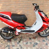 Scooter SR Team Malossi 2013