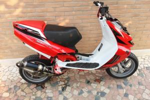 Scooter SR Team Malossi 2013