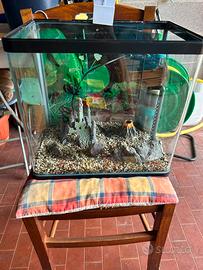 Acquario 40 litri