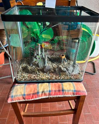 Acquario 40 litri