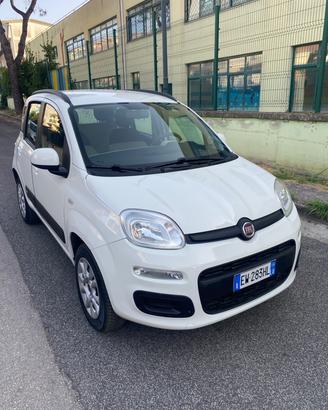 Fiat Panda Natural Power Fine 2014 TAGLIANDATA