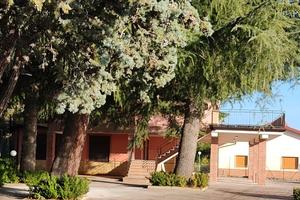 Villa contrada Vallone Rosso vigne Biancavilla