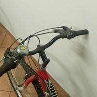 bicicletta