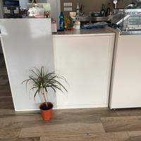 Arredo bar completo