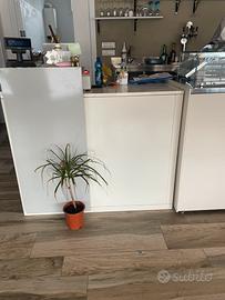 Arredo bar completo