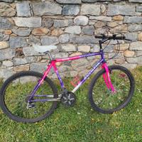 Bicicletta da stazione/università