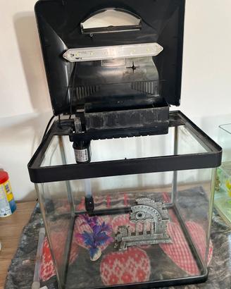 Acquario per pesci 20 litri