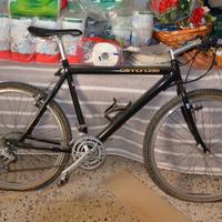 Cannondale vintage