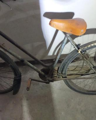 bicicletta donna