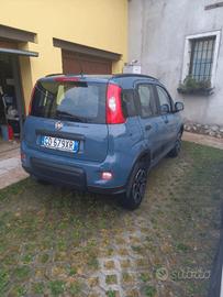 FIAT Panda 3ª serie - 2021