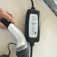 caricatore EVIEUN a 220 per auto elettrica 