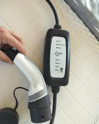 caricatore EVIEUN a 220 per auto elettrica 