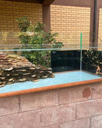 Acquario Tartarughe