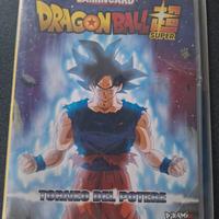 raccoglitore  dragonball