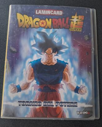 raccoglitore  dragonball