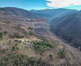 Terreno - Serra San Quirico