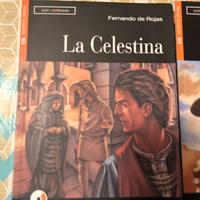 Libri scuola letteratura spagnola