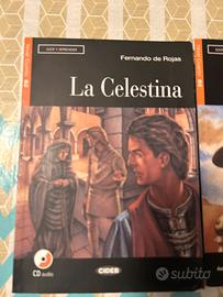 Libri scuola letteratura spagnola