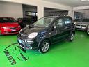 fiat-panda-1-3-mjt-s-s-4x4-antartica