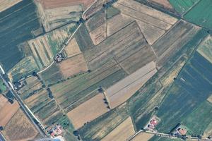 Terreno agricolo valdichiana