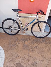 bicicletta MTB 
