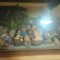 ACQUARIO CON ACCESSORI MARINI 70X35X45